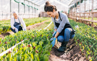 Securing the Future: Business Succession Planning for Family Businesses in Idaho